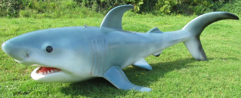 8ft model of a great white shark