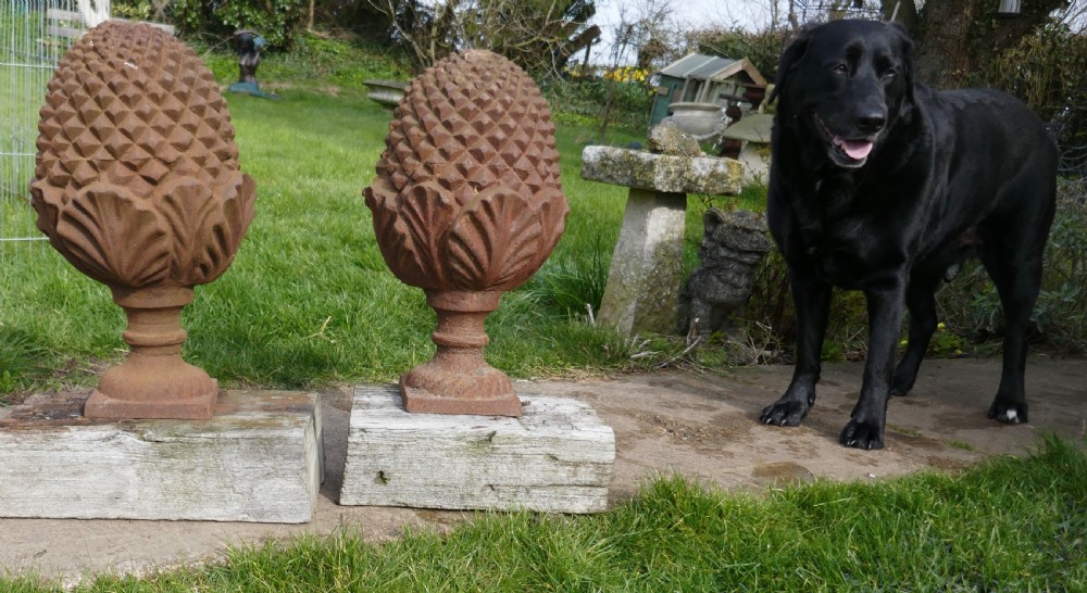 pair of large iron gate post finials in the shape of pine cone