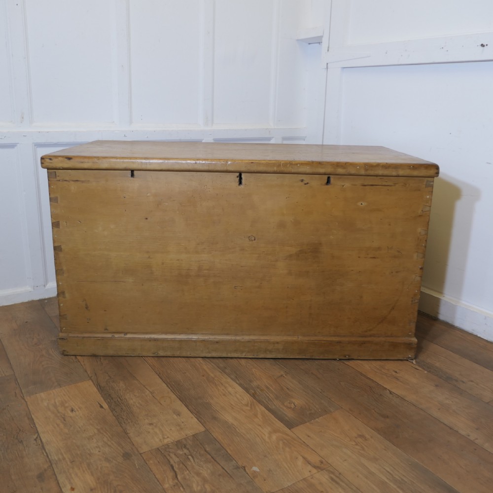 enormous large victorian polished pine blanket box